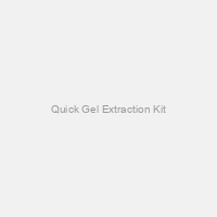Quick Gel Extraction Kit